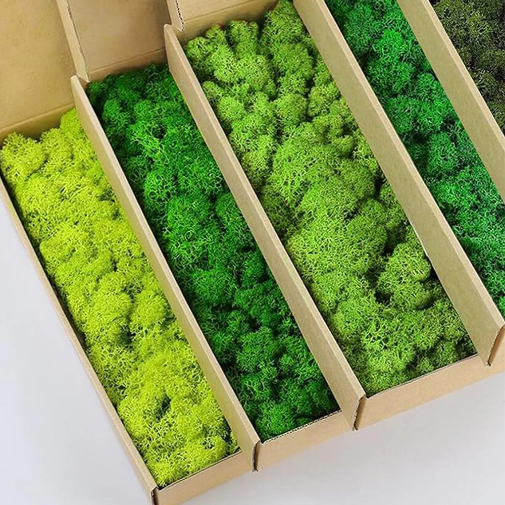 20-200g Artificial Green Plant - огляд і ціна Terrarium Moss Art