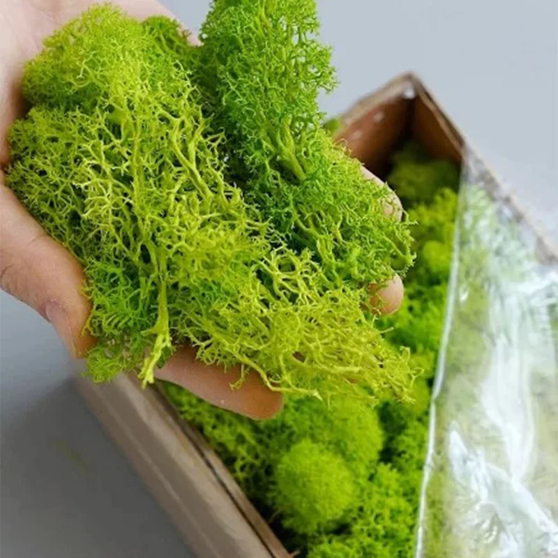 20-200g Artificial Green Plant - огляд і ціна Terrarium Moss Art