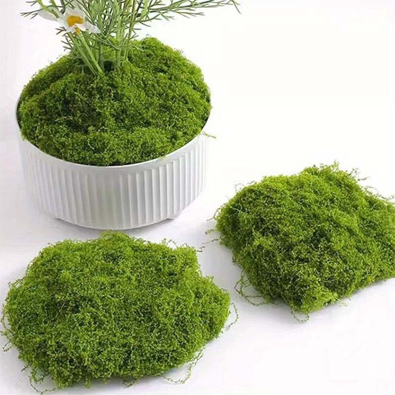Green Fake Moss DIY Crafts Gra - огляд і ціна Terrarium Moss Art